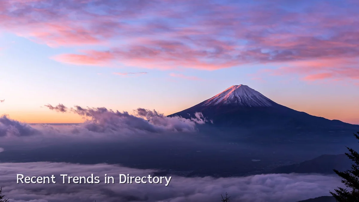 Recent Trends in Directory
