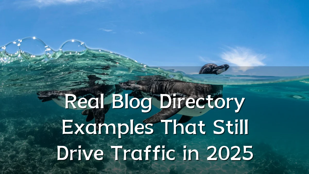 Real Blog Directory Examples That Still Drive Traffic in 2025