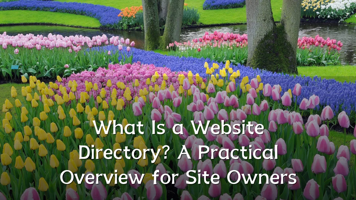 What Is a Website Directory? A Practical Overview for Site Owners