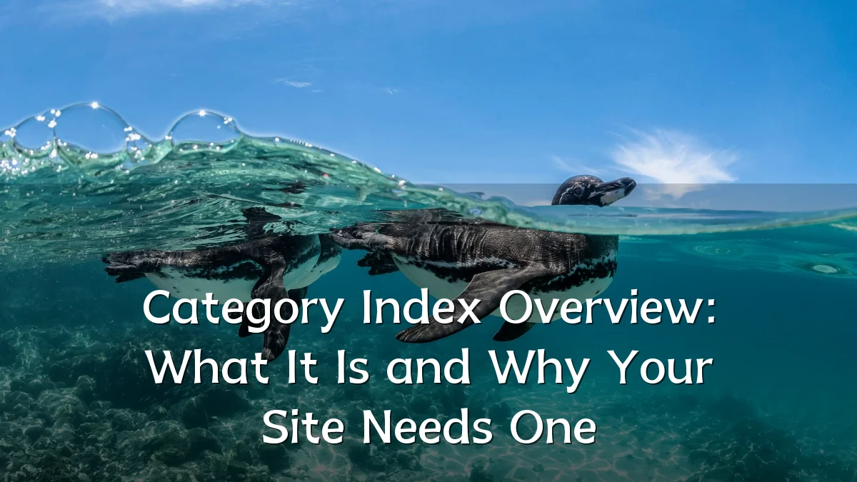 Category Index Overview: What It Is and Why Your Site Needs One
