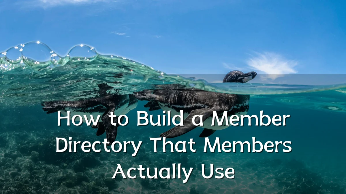 How to Build a Member Directory That Members Actually Use