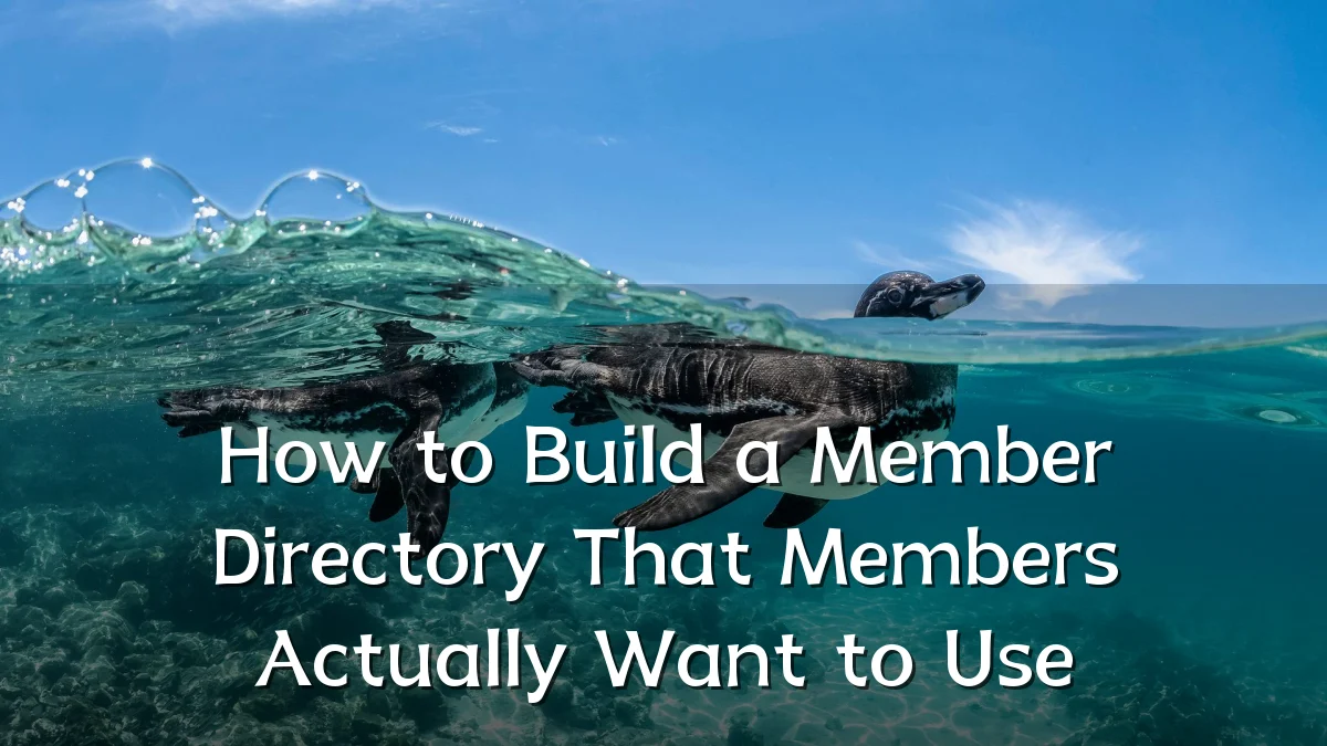 How to Build a Member Directory That Members Actually Want to Use