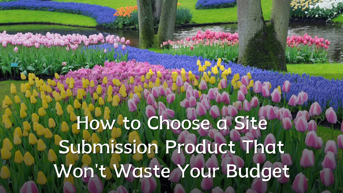 How to Choose a Site Submission Product That Won't Waste Your Budget