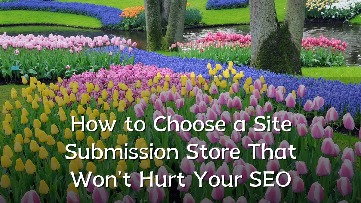 How to Choose a Site Submission Store That Won't Hurt Your SEO