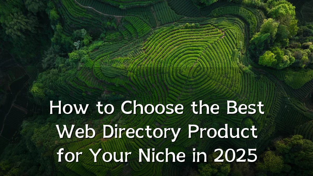 How to Choose the Best Web Directory Product for Your Niche in 2025
