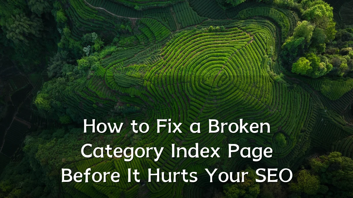 How to Fix a Broken Category Index Page Before It Hurts Your SEO