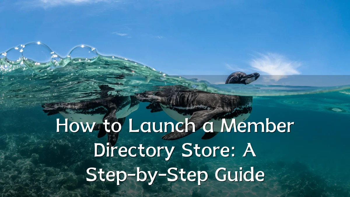 How to Launch a Member Directory Store: A Step-by-Step Guide