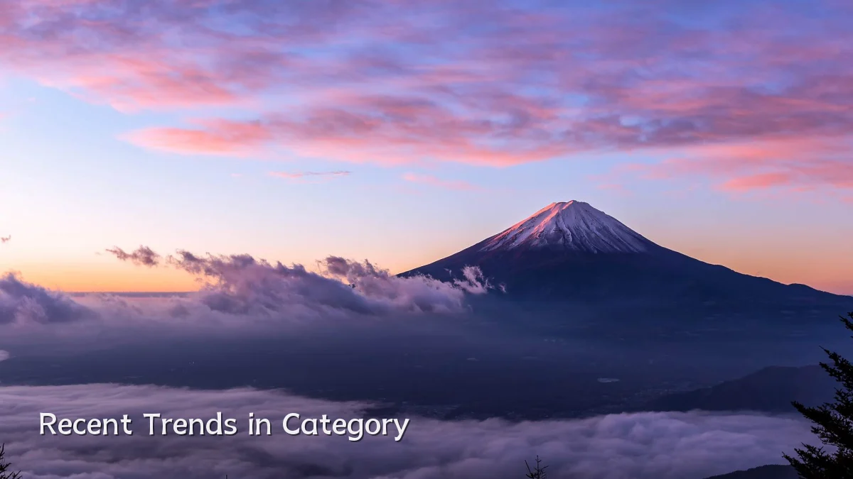 Recent Trends in Category