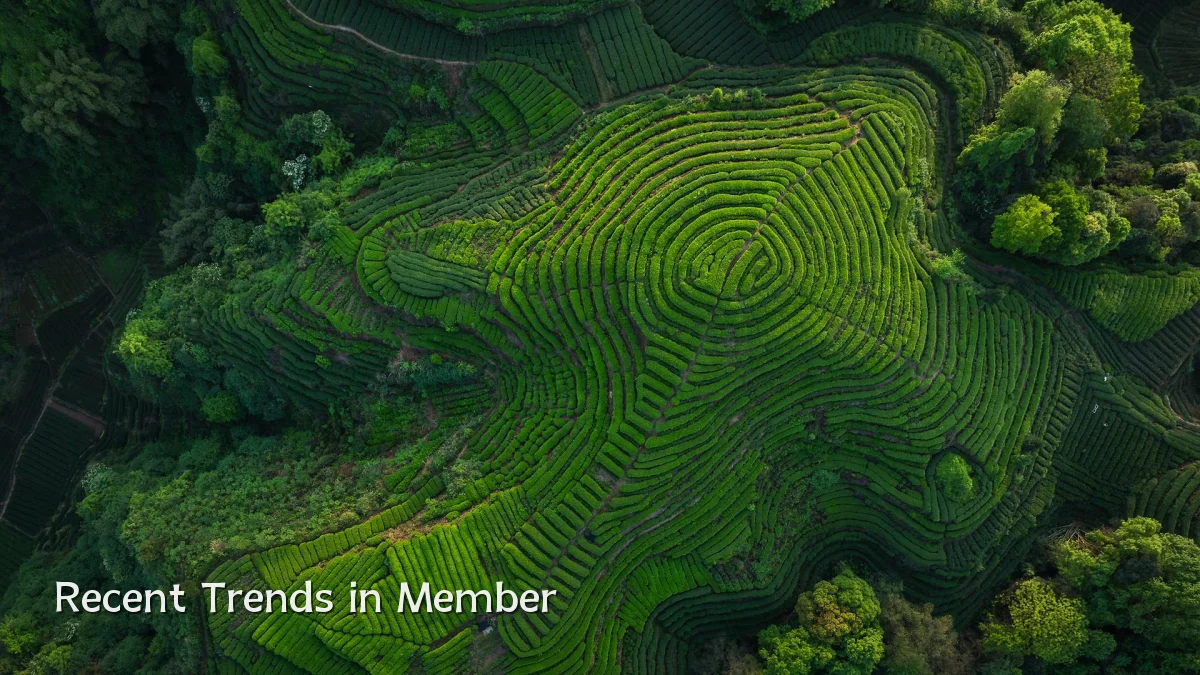Recent Trends in Member