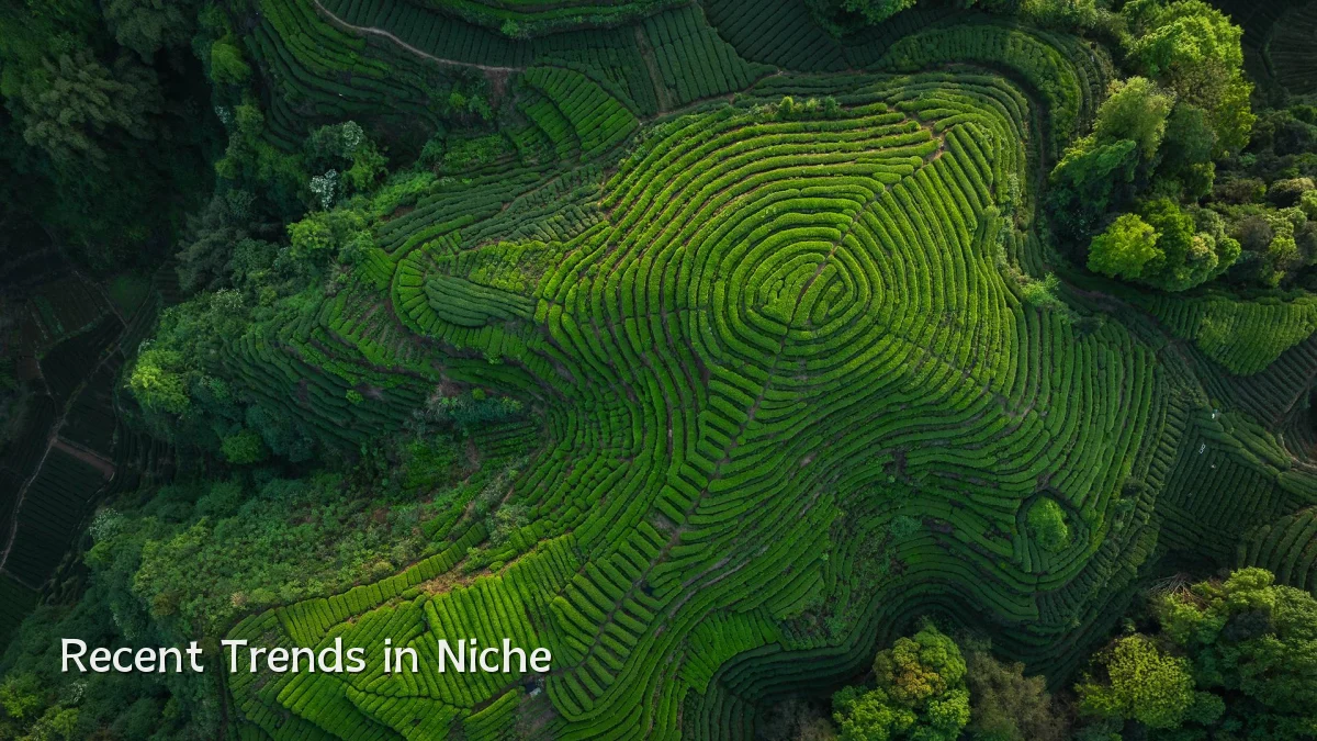 Recent Trends in Niche