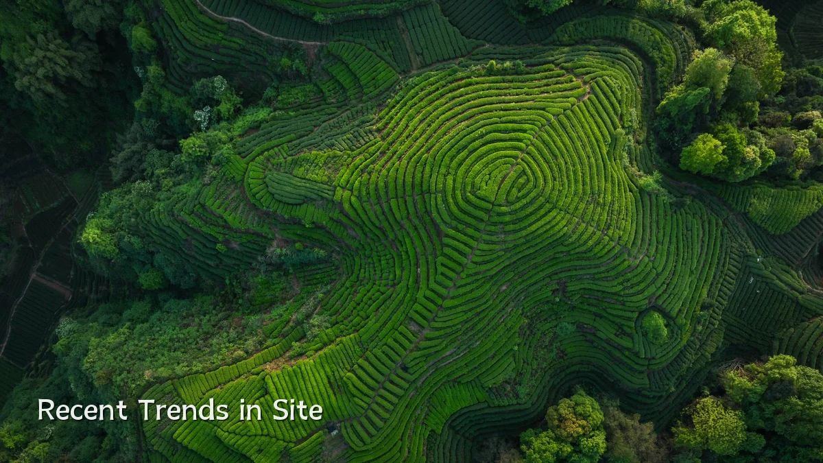 Recent Trends in Site