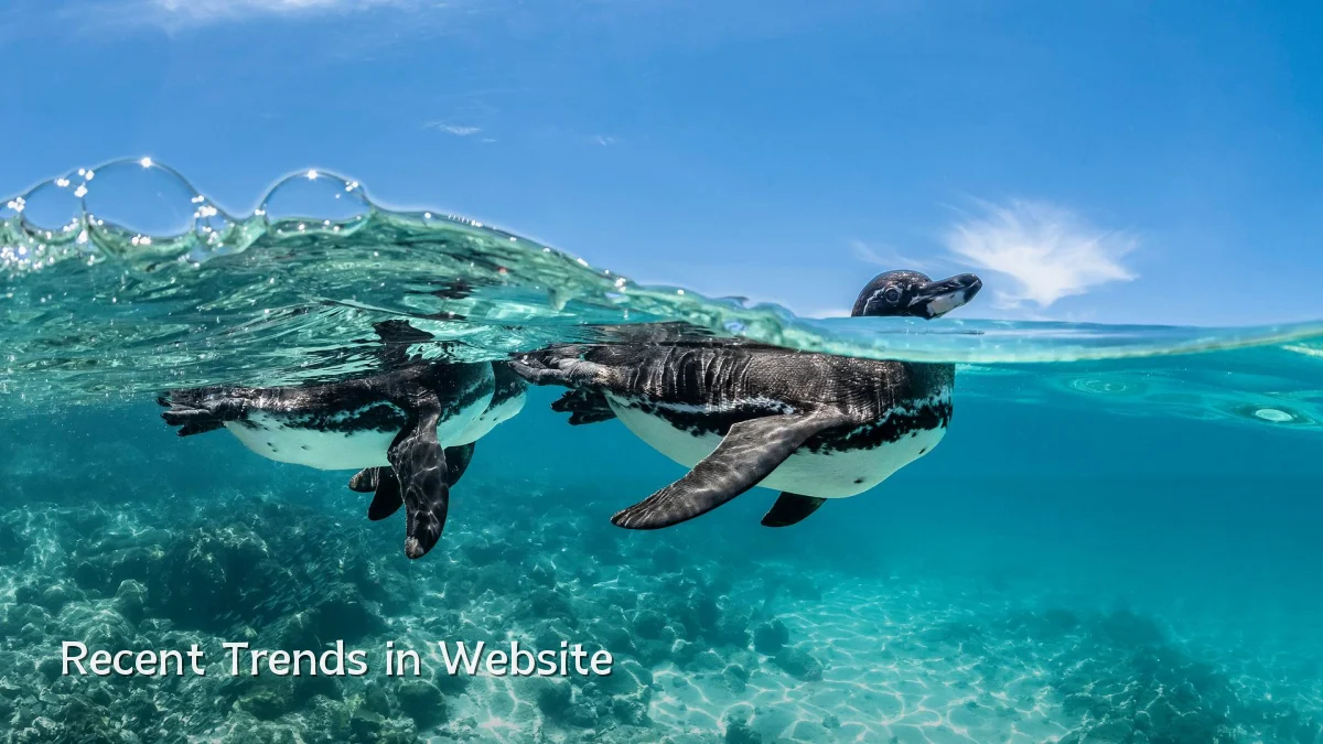 Recent Trends in Website