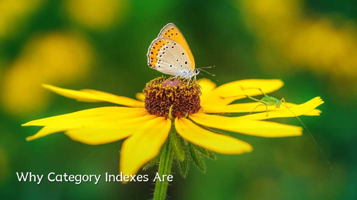 Why Category Indexes Are