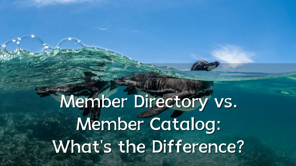 Member Directory vs. Member Catalog: What's the Difference?