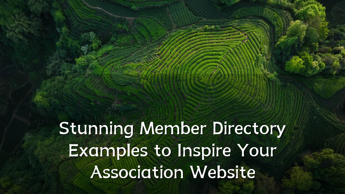 Stunning Member Directory Examples to Inspire Your Association Website