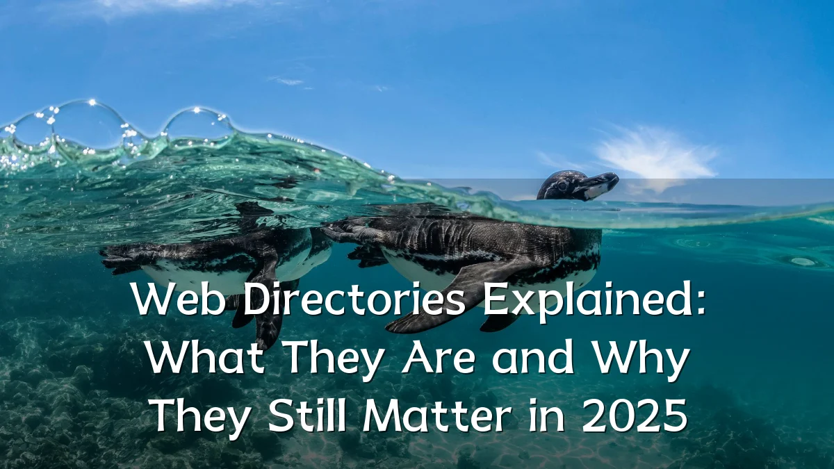 Web Directories Explained: What They Are and Why They Still Matter in 2025