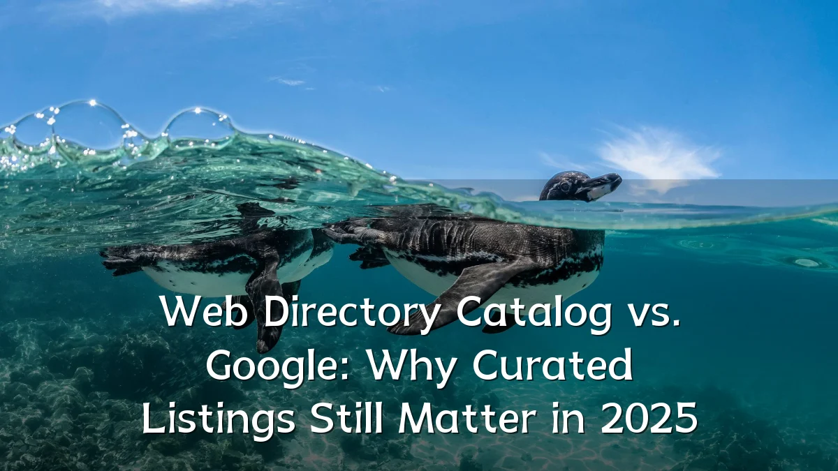 Web Directory Catalog vs. Google: Why Curated Listings Still Matter in 2025