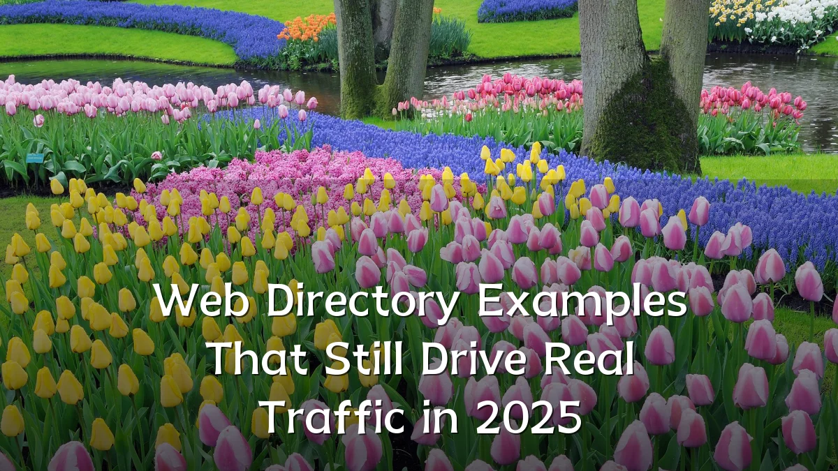 Web Directory Examples That Still Drive Real Traffic in 2025