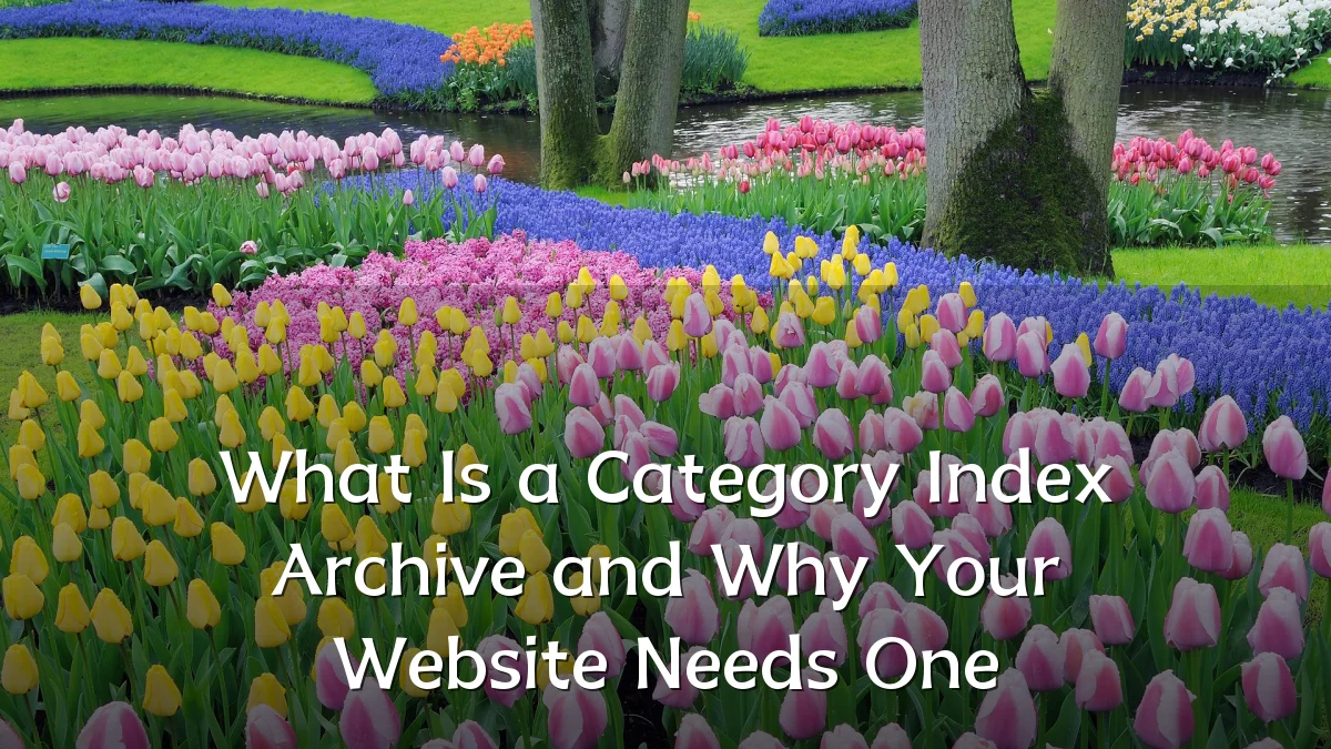 What Is a Category Index Archive and Why Your Website Needs One