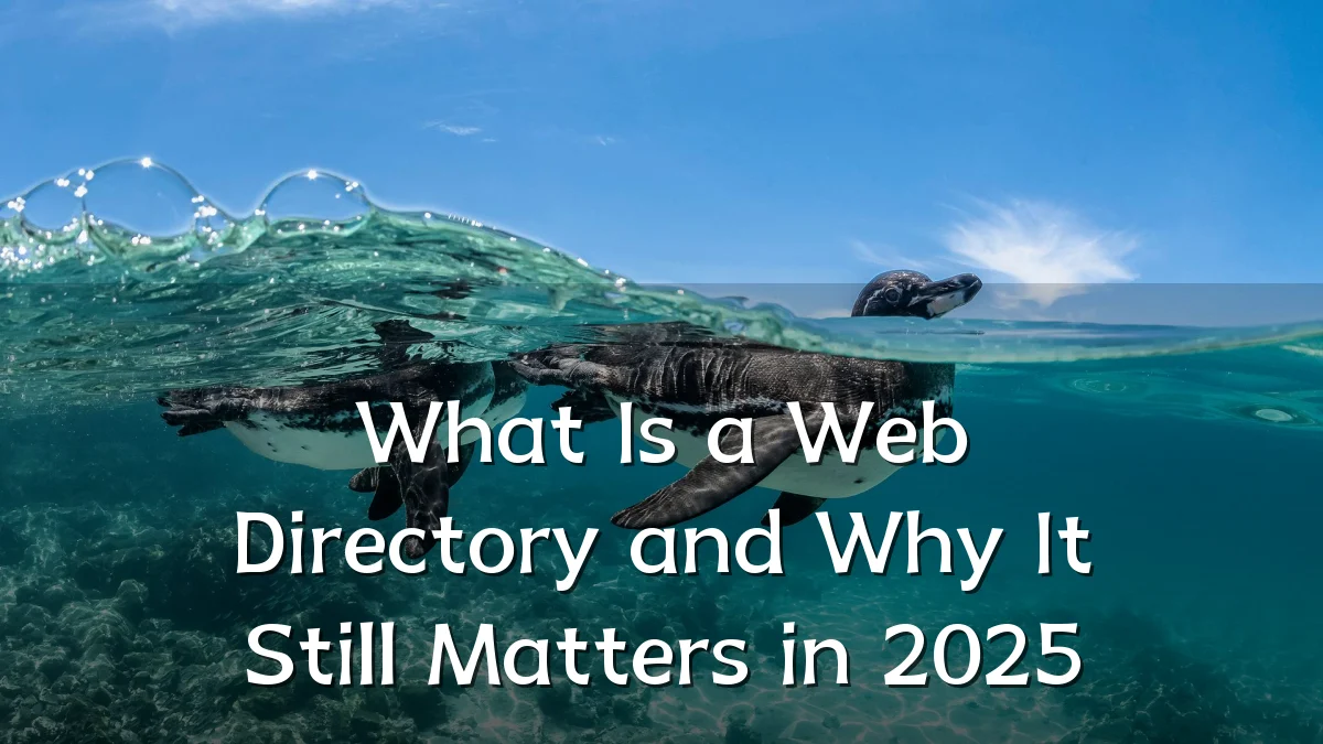 What Is a Web Directory and Why It Still Matters in 2025