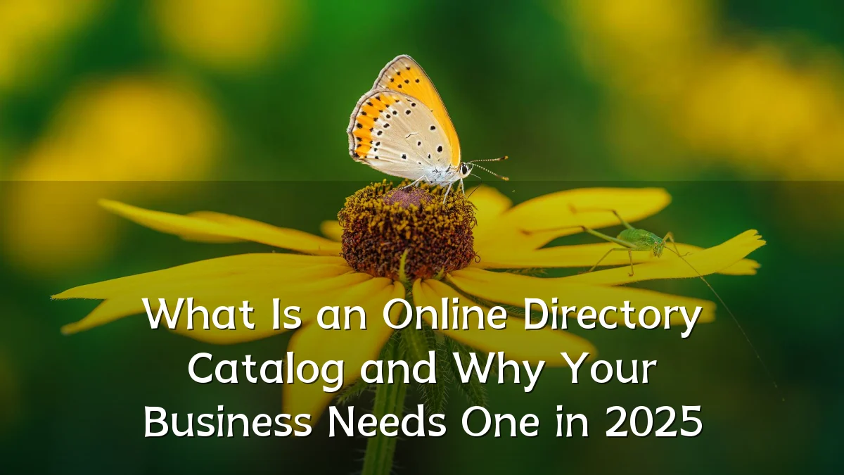 What Is an Online Directory Catalog and Why Your Business Needs One in 2025