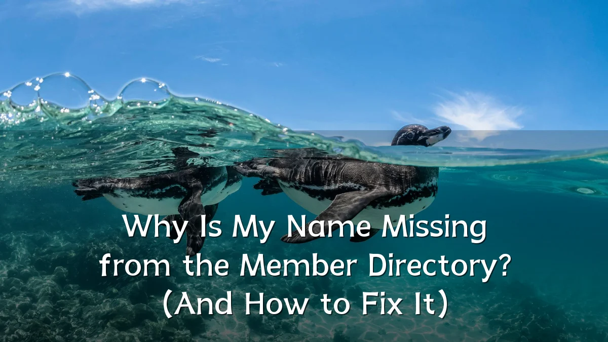 Why Is My Name Missing from the Member Directory? (And How to Fix It)