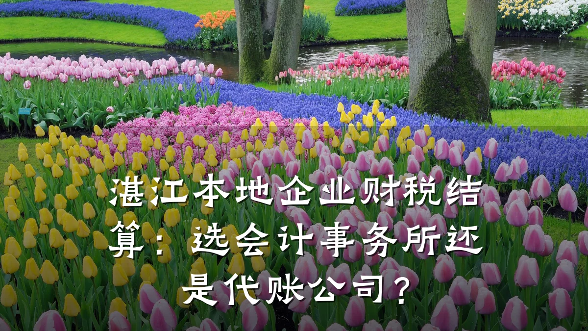湛江本地企业财税结算:选会计事务所还是代账公司?